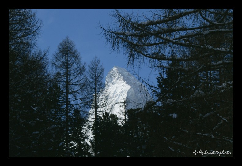 19 Matterhorn im Sommer